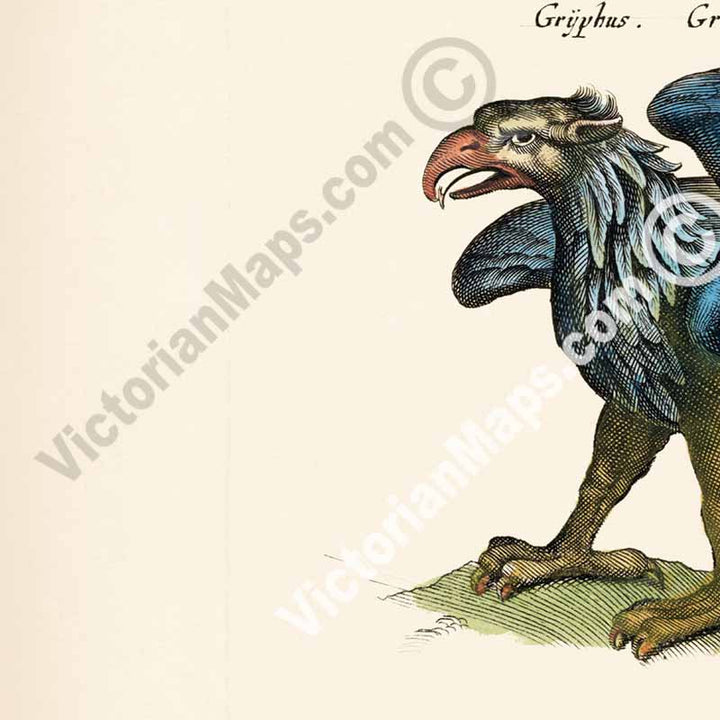Phoenix, Pelican, Harpy, Griffin - an engraved plate from "Historiae naturalis de serpentibus et draconibus"  Merian & Jonston, 1657 art print poster canvas gift