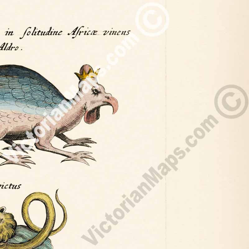Sea Monster, Dragon and Basilisk - sea beasts illustration from "Historiae naturalis de serpentibus et draconibus"  Merian & Jonston, 1657 art print poster canvas gift