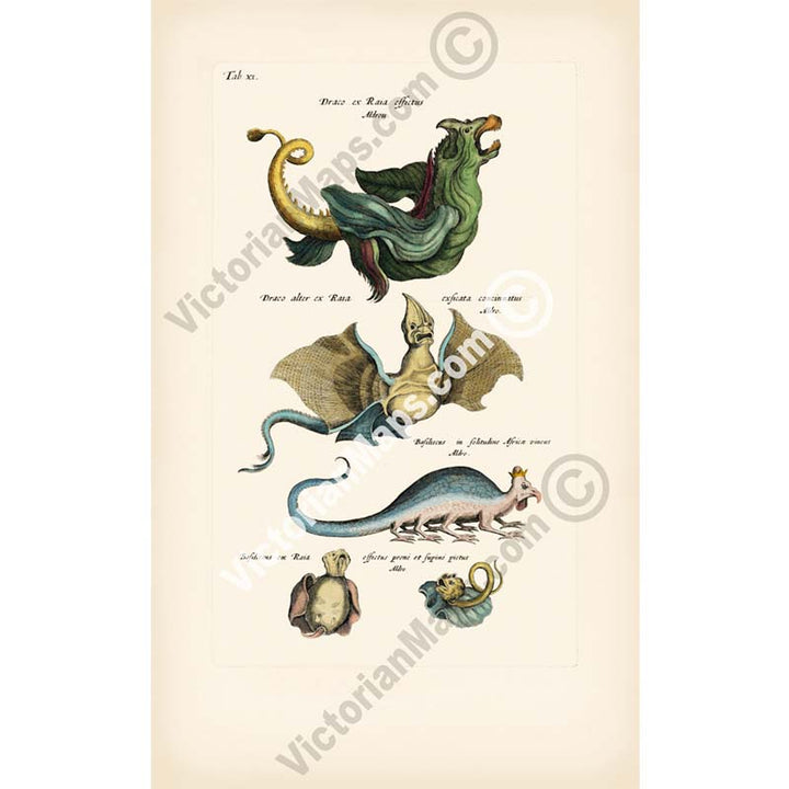 Sea Monster, Dragon and Basilisk - sea beasts illustration from "Historiae naturalis de serpentibus et draconibus"  Merian & Jonston, 1657 art print poster canvas gift