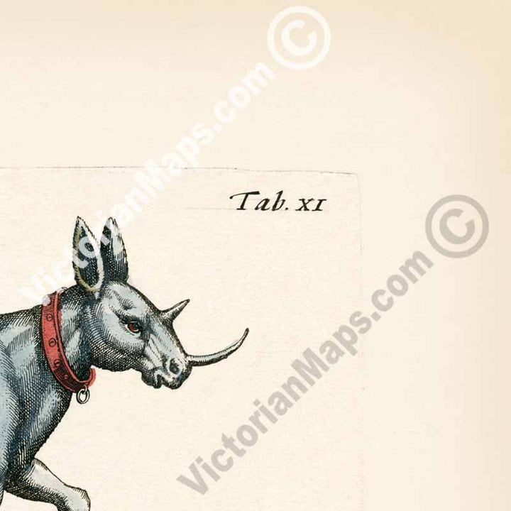 Unicorn, Einhorn, Onager – a page from “Historiae naturalis de serpentibus et draconibus” Merian & Jonston, 1657 art print poster canvas gift