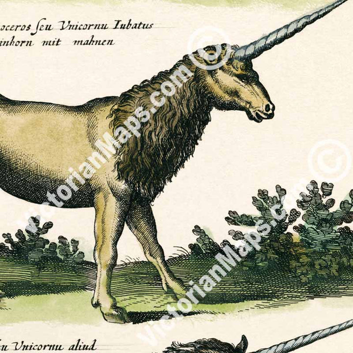 Unicorn, Einhorn, Onager – a page from “Historiae naturalis de serpentibus et draconibus” Merian & Jonston, 1657 art print poster canvas gift