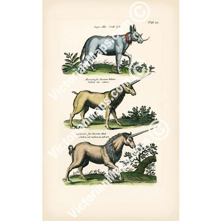 Unicorn, Einhorn, Onager – a page from “Historiae naturalis de serpentibus et draconibus” Merian & Jonston, 1657 art print poster canvas gift