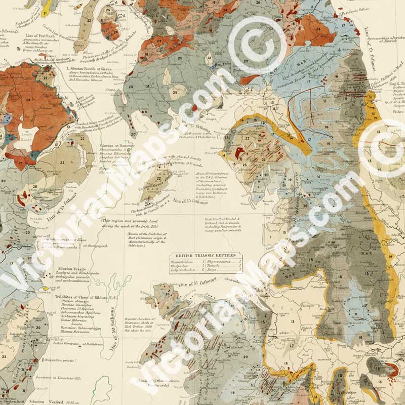Palaeontological Map of the British Islands by A. K. Johnston & E. Forbes, published by William Blackwood & Sons 1848 art print poster canvas gift
