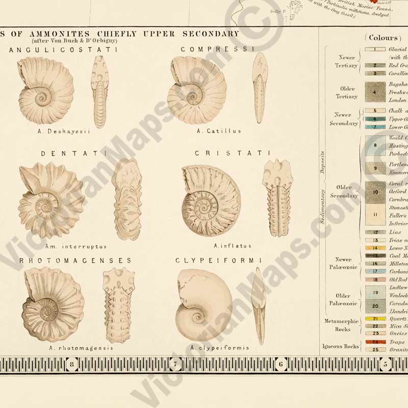 Palaeontological Map of the British Islands by A. K. Johnston & E. Forbes, published by William Blackwood & Sons 1848 art print poster canvas gift
