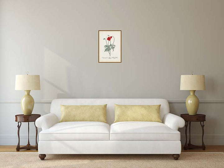 Common Red Poppy flowering plant Papaver erraticum rhoeas , botanical print by Elizabeth Blackwell, A Curious Herbal, 1737 art poster canvas gift