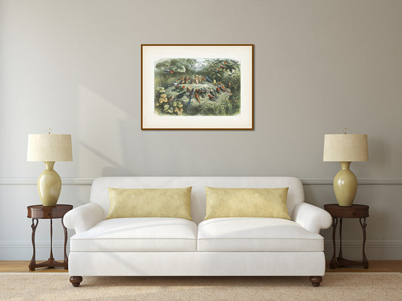 A rehearsal in Fairy Land Musical Elf teaching the young birds to sing - A Victorian engraving by R. Doyle, In Fairyland: A series of Pictures from the Elf-World, 1870 art print poster canvas gift