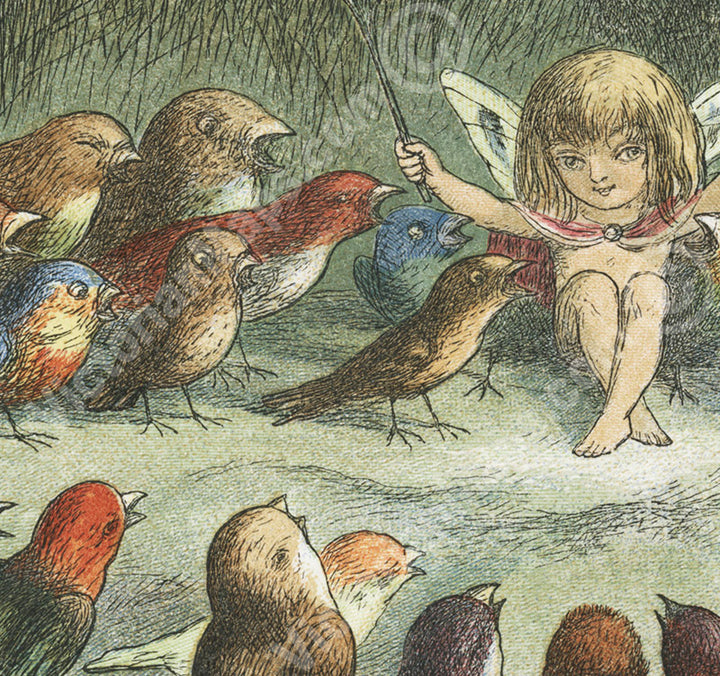 A rehearsal in Fairy Land Musical Elf teaching the young birds to sing - A Victorian engraving by R. Doyle, In Fairyland: A series of Pictures from the Elf-World, 1870 art print poster canvas gift