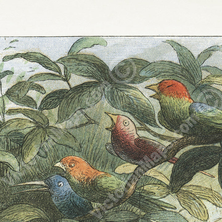 A rehearsal in Fairy Land Musical Elf teaching the young birds to sing - A Victorian engraving by R. Doyle, In Fairyland: A series of Pictures from the Elf-World, 1870 art print poster canvas gift