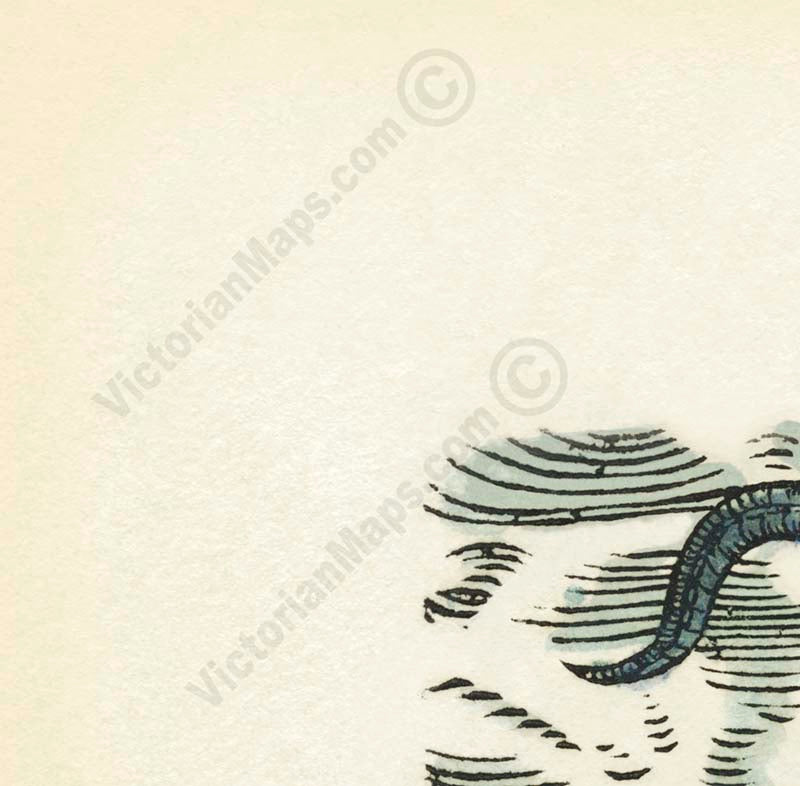 Giant Sea Serpent – hand-coloured woodcut print (part of a page) by Conrad Gessner, 1598 art poster canvas gift