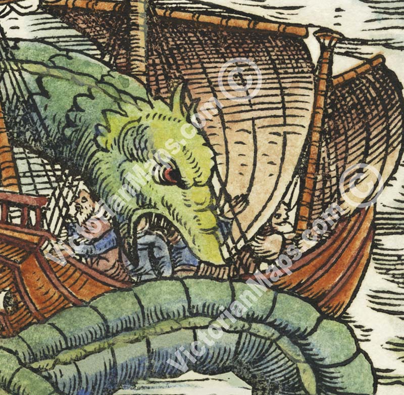 Giant Sea Serpent – hand-coloured woodcut print (part of a page) by Conrad Gessner, 1598 art poster canvas gift
