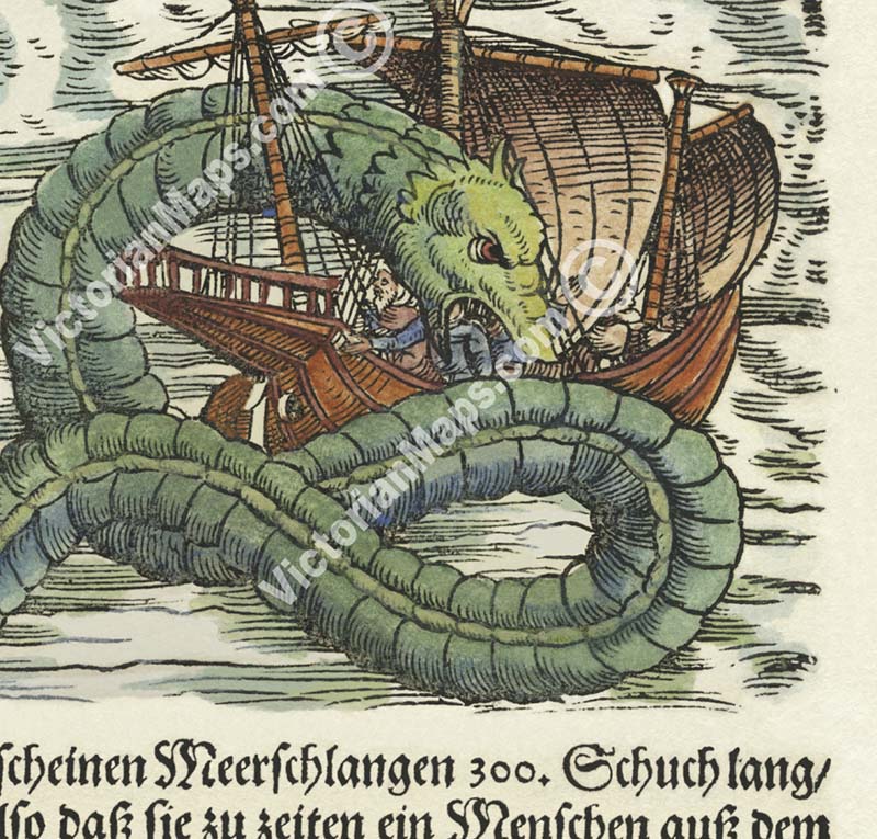 Giant Sea Serpent – a woodcut print by Conrad Gessner, a whole page from Fischbuch, 1598 art poster canvas gift