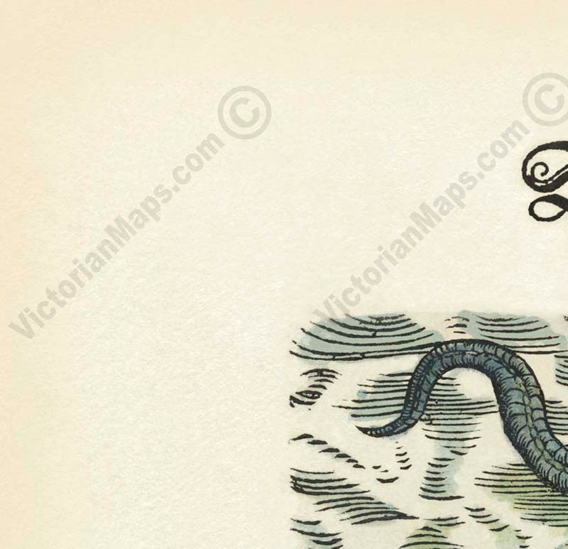 Giant Sea Serpent – a woodcut print by Conrad Gessner, a whole page from Fischbuch, 1598 art poster canvas gift