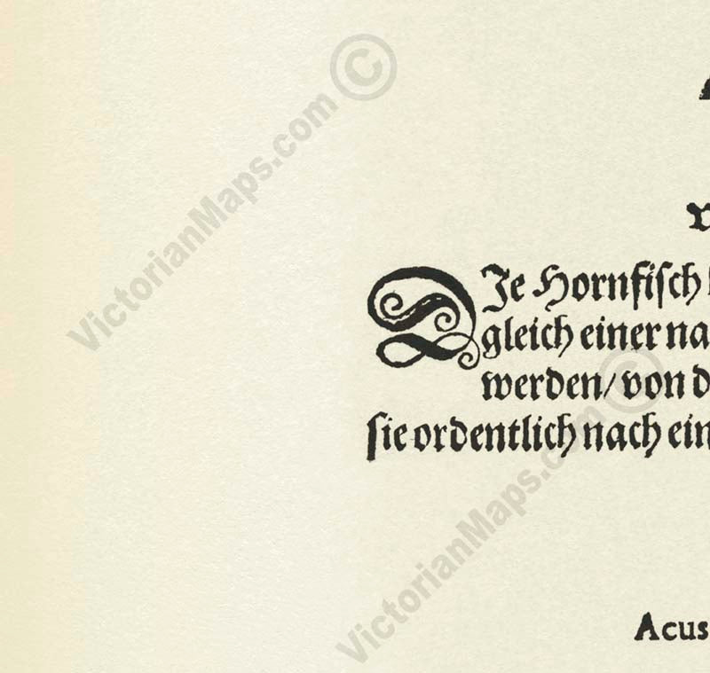 Giant Sea Serpent – a woodcut print by Conrad Gessner, a whole page from Fischbuch, 1598 art poster canvas gift