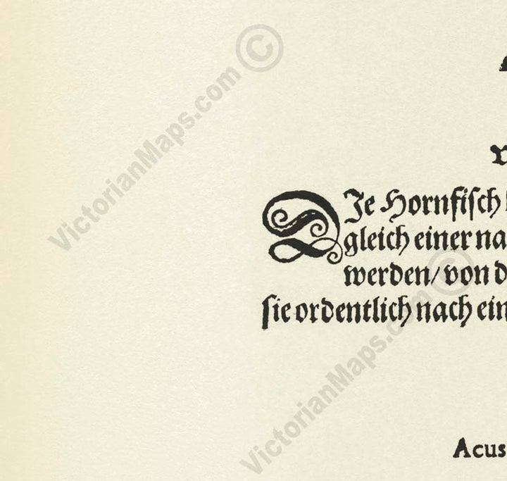 Giant Sea Serpent – a woodcut print by Conrad Gessner, a whole page from Fischbuch, 1598 art poster canvas gift