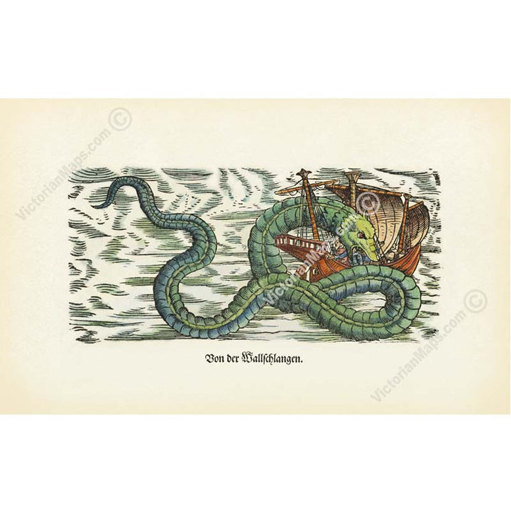 Giant Sea Serpent – hand-coloured woodcut print (part of a page) by Conrad Gessner, 1598 art poster canvas gift