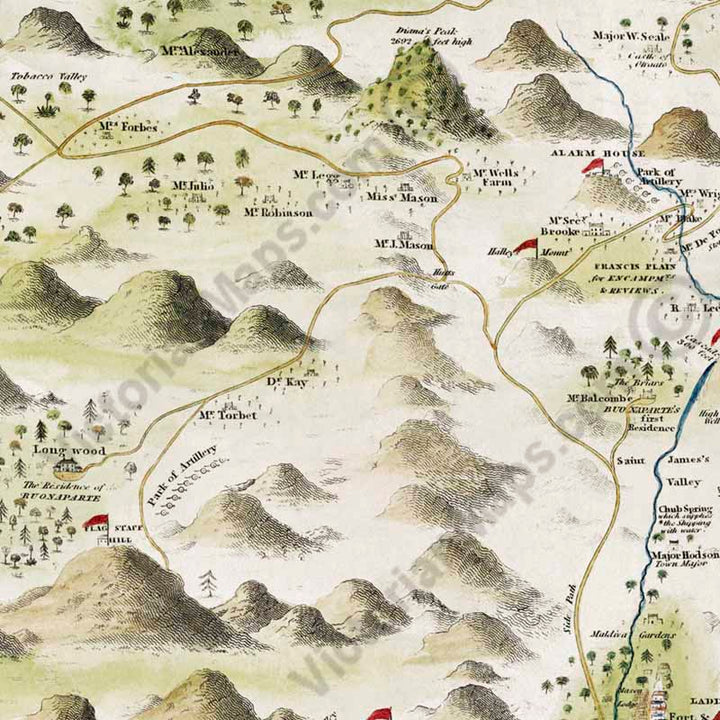 A Geographical plan of the Saint Helena Island, Napoleon Bonaparte residence in exile, a map by Leut. R.P. Read, 1817