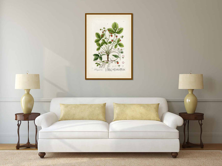 Wild strawberry Fragaria vesca flowering plant, botanical print by Elizabeth Blackwell, 1737 art poster canvas gift