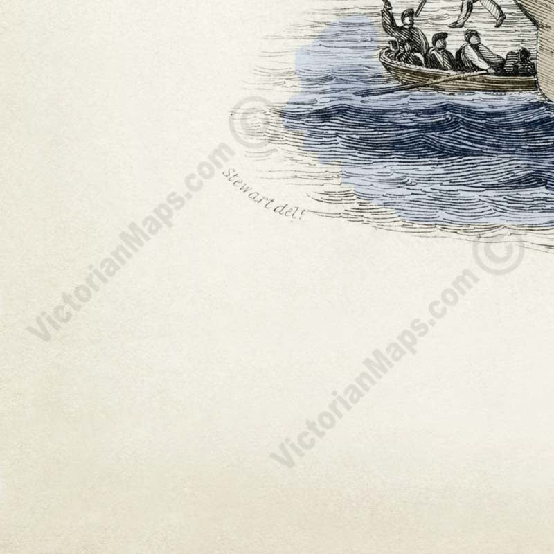 The Kraken supposed a sepia or cuttle-fish from Denys Montfort - engraved hand-coloured print by W. Jardine, 1833 art poster canvas gift