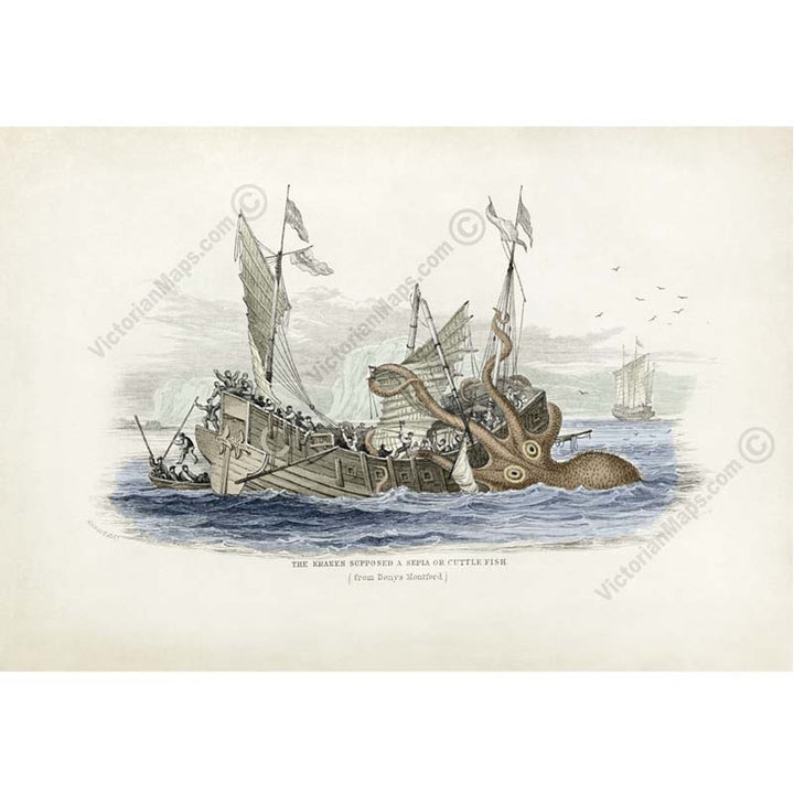 The Kraken supposed a sepia or cuttle-fish from Denys Montfort - engraved hand-coloured print by W. Jardine, 1833 art poster canvas gift
